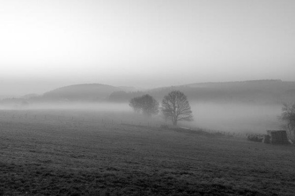 Landschaft bei Gerlingen_1  - (c) R Pattke.jpg